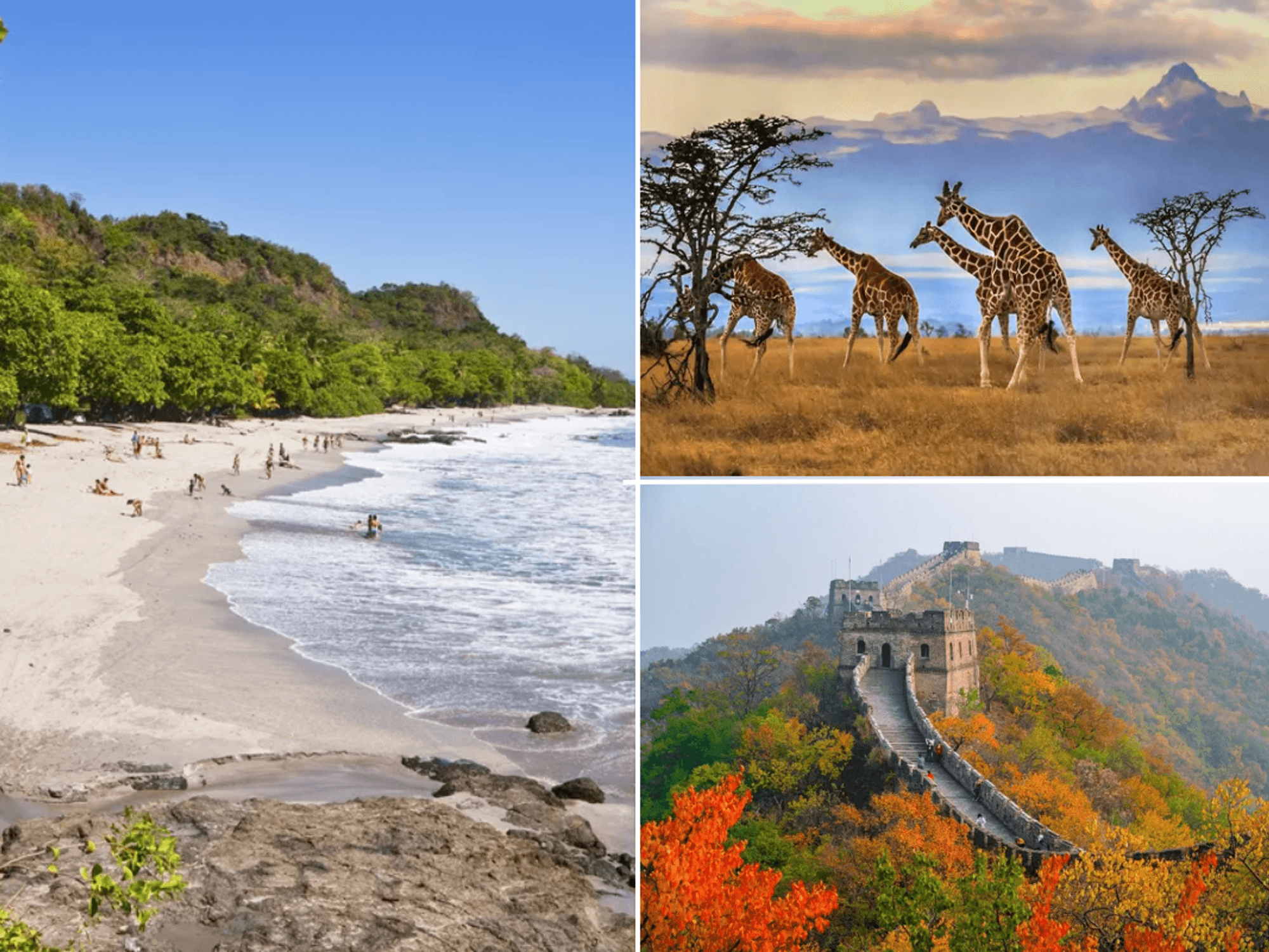 Costa Rica / Africa safari / Great Wall of China