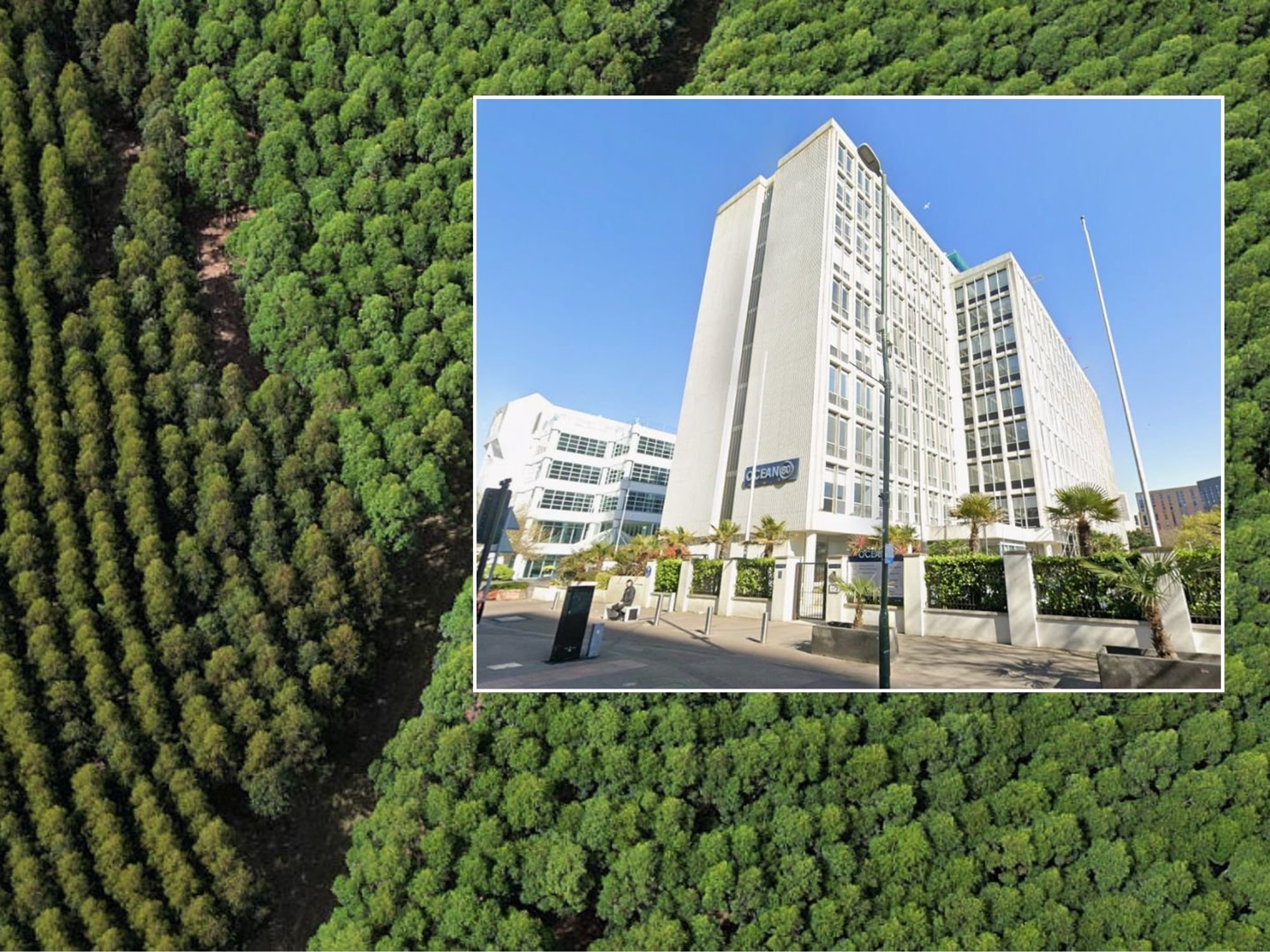 Costa Rica tree plantation, Ethical Forestry Limited building