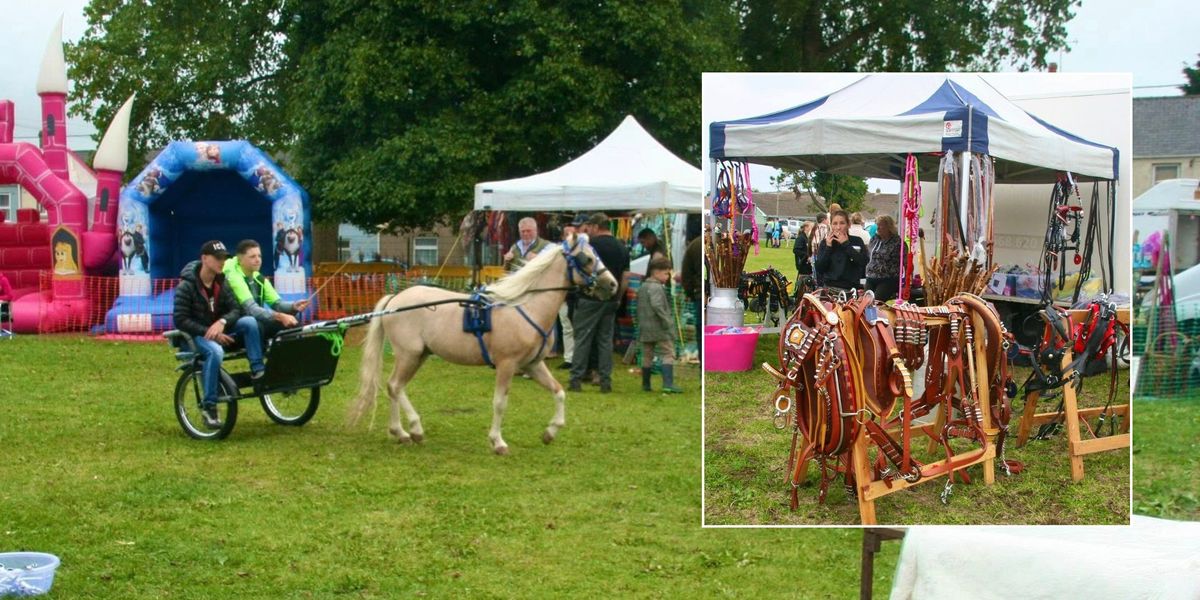 NextImg:Council row erupts as traveller horse fair gets go-ahead despite not receiving permission