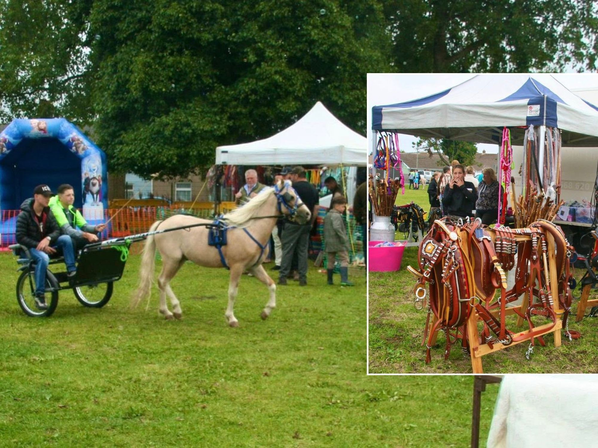 Council row erupts as horse fair gets go ahead after splitting leafy town
