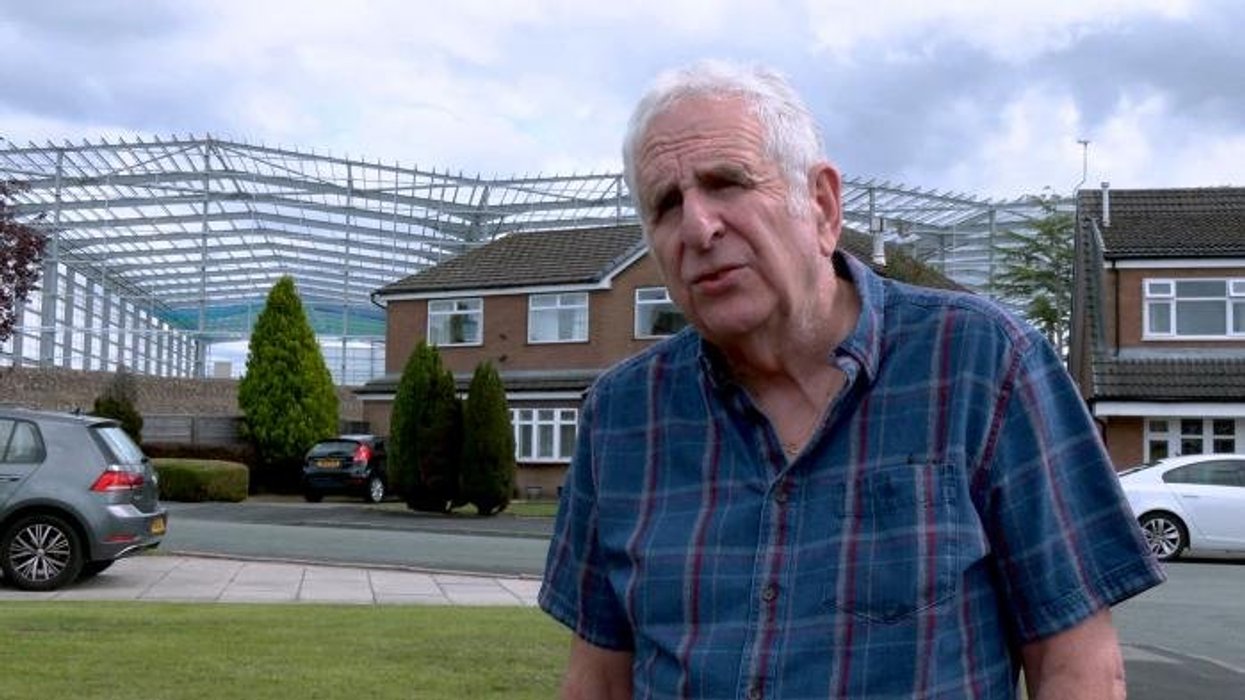 Council to pay for new plants after worker chops down 30,000 bulbs in park – 'We're incredibly sorry'