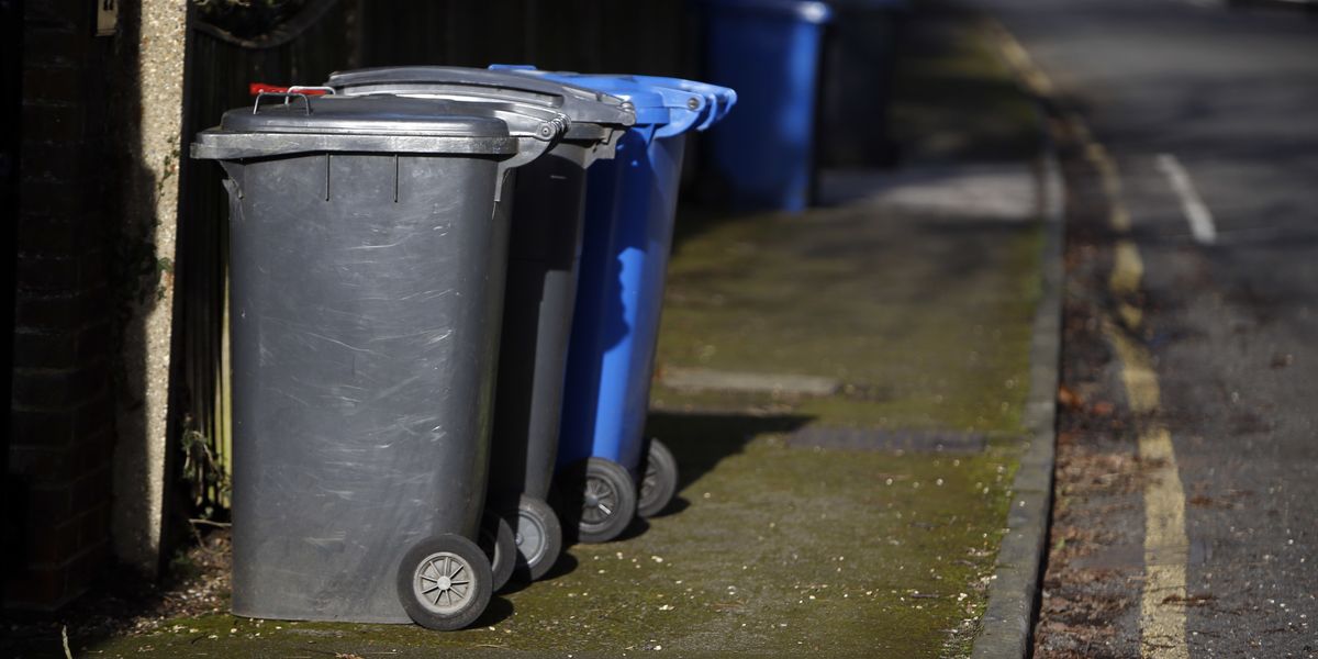 NextImg:Council slashes black bin collections to just once every three weeks despite pleas from locals