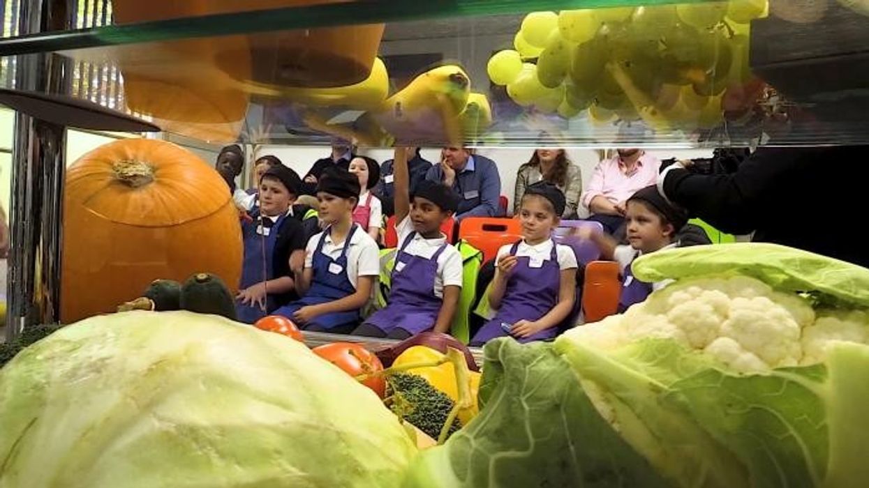 'Let parents and children decide!' Councillor calls to end 'climate change' Meat Free Mondays in schools