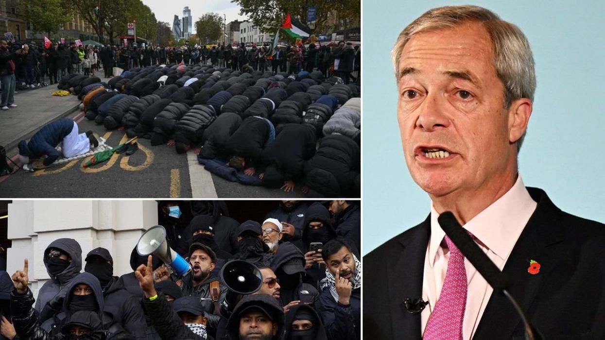 Counter-protest in Whitehall; Nigel Farage