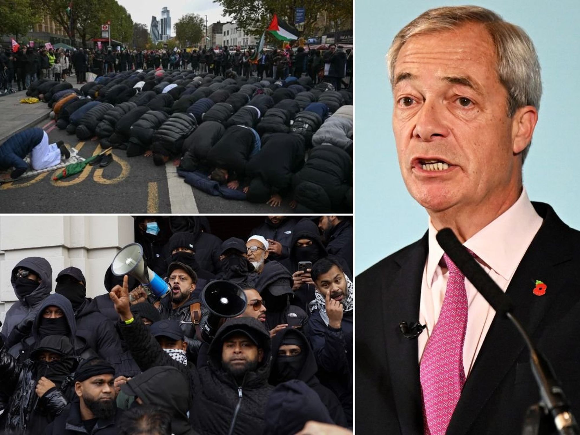 Counter-protest in Whitehall; Nigel Farage