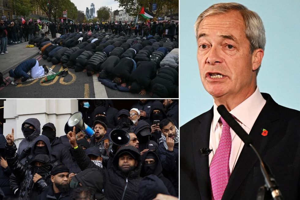Counter-protest in Whitehall; Nigel Farage