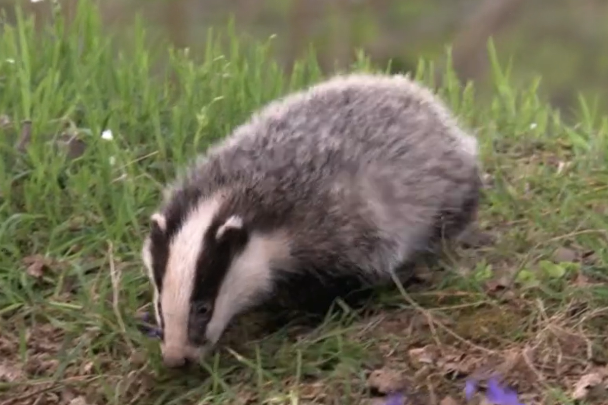 Countryfile