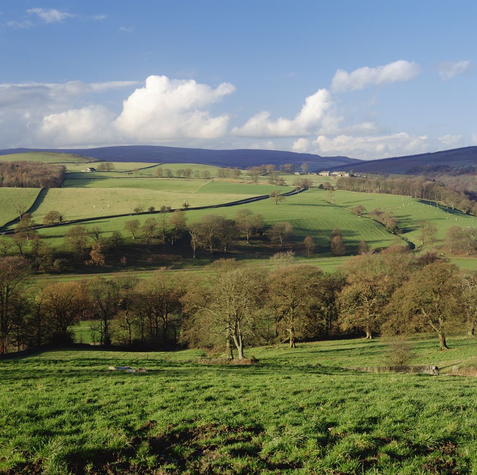 Countryside in Cotswolds