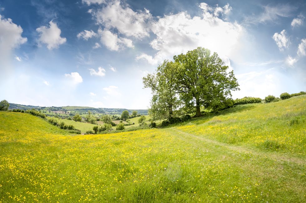 Countryside, The Cotswolds