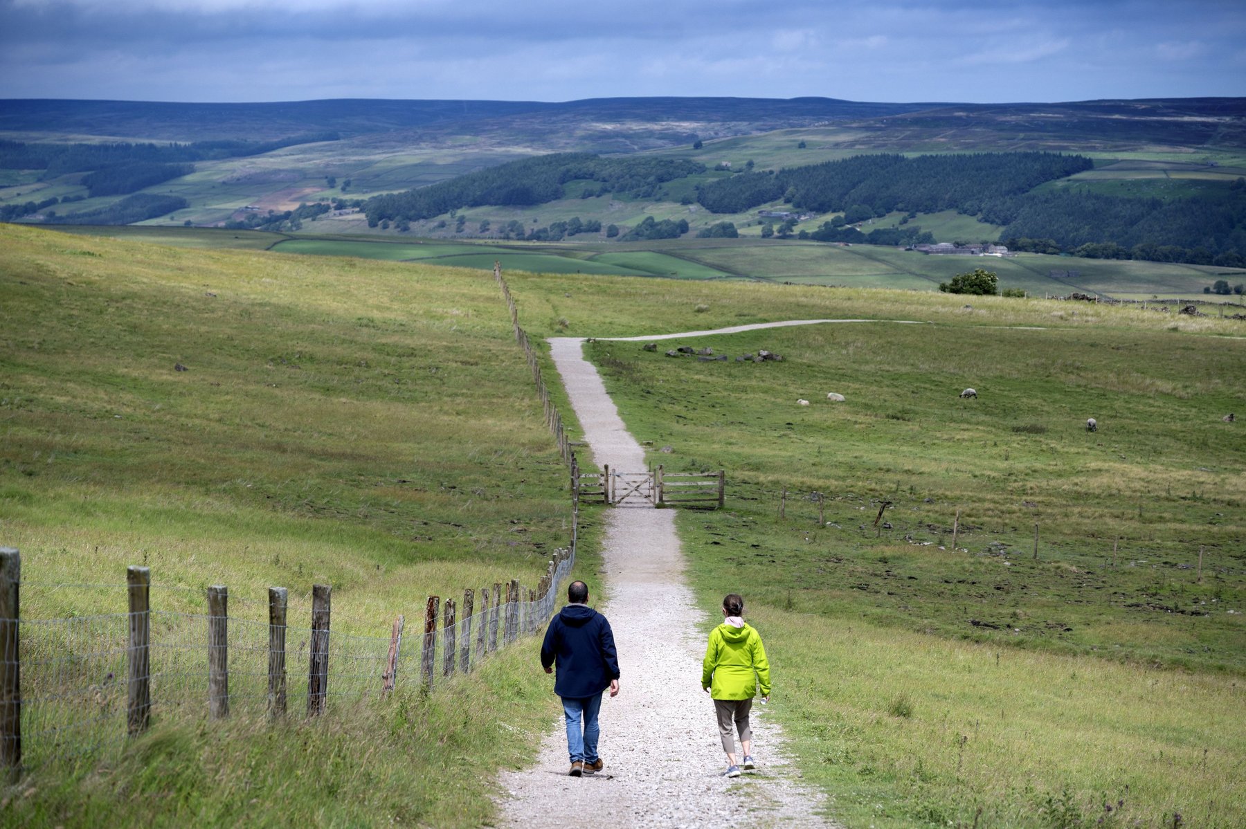 Countryside walkers in South Downs