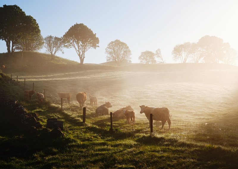Countryside