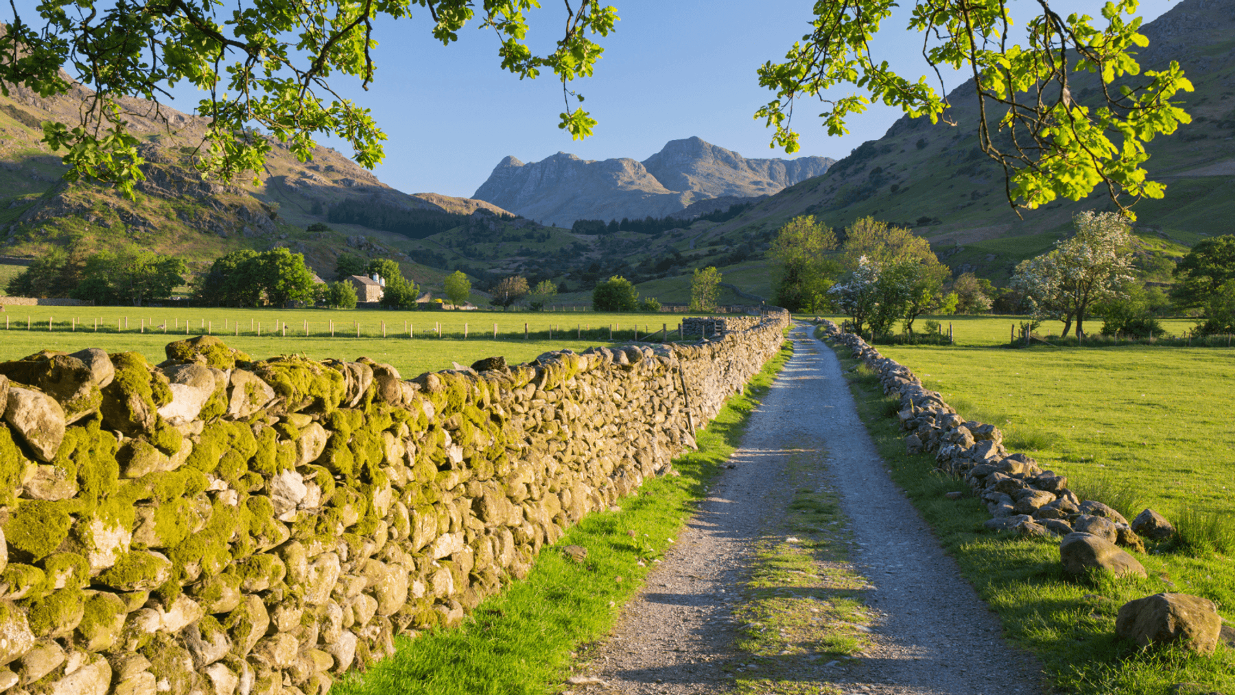 countryside
