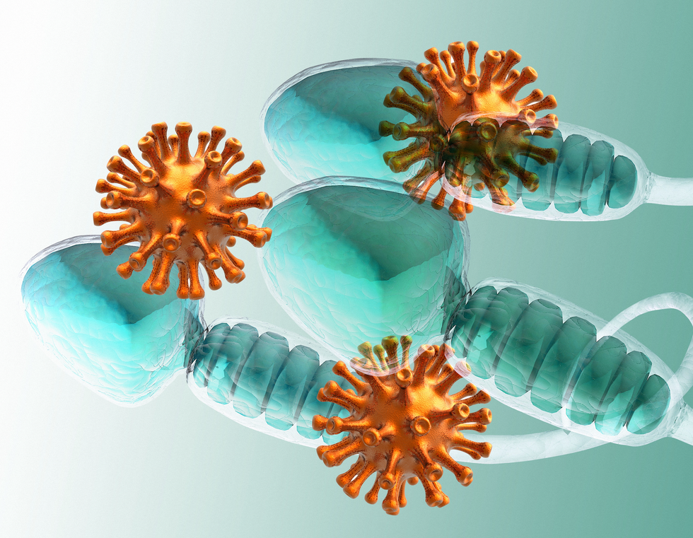 Covid and sperm cells