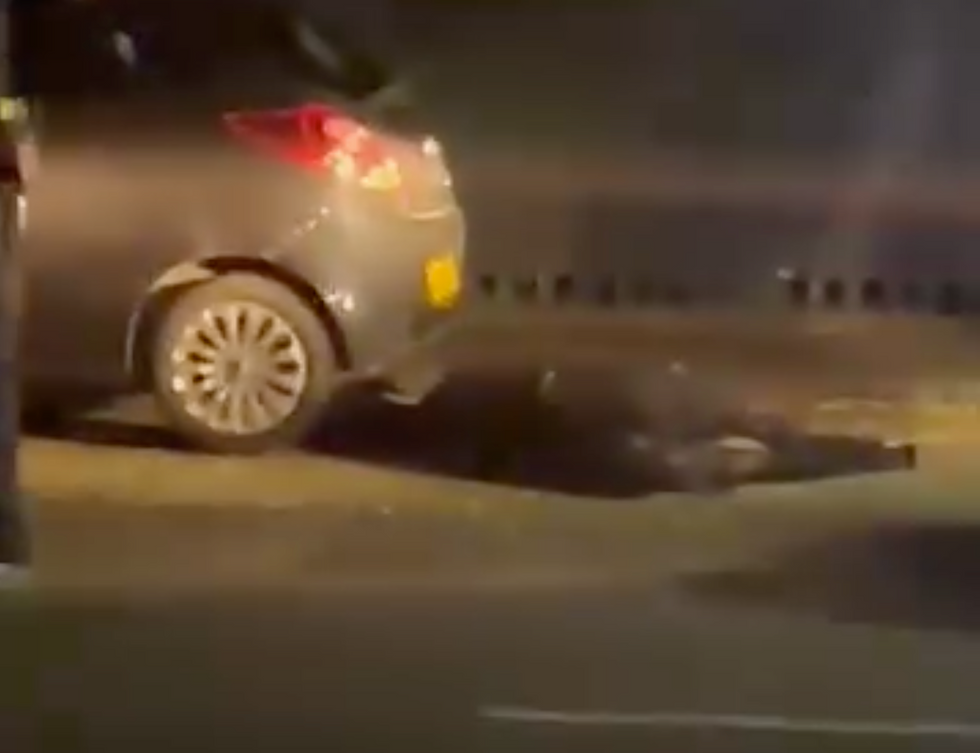 Cow on the floor