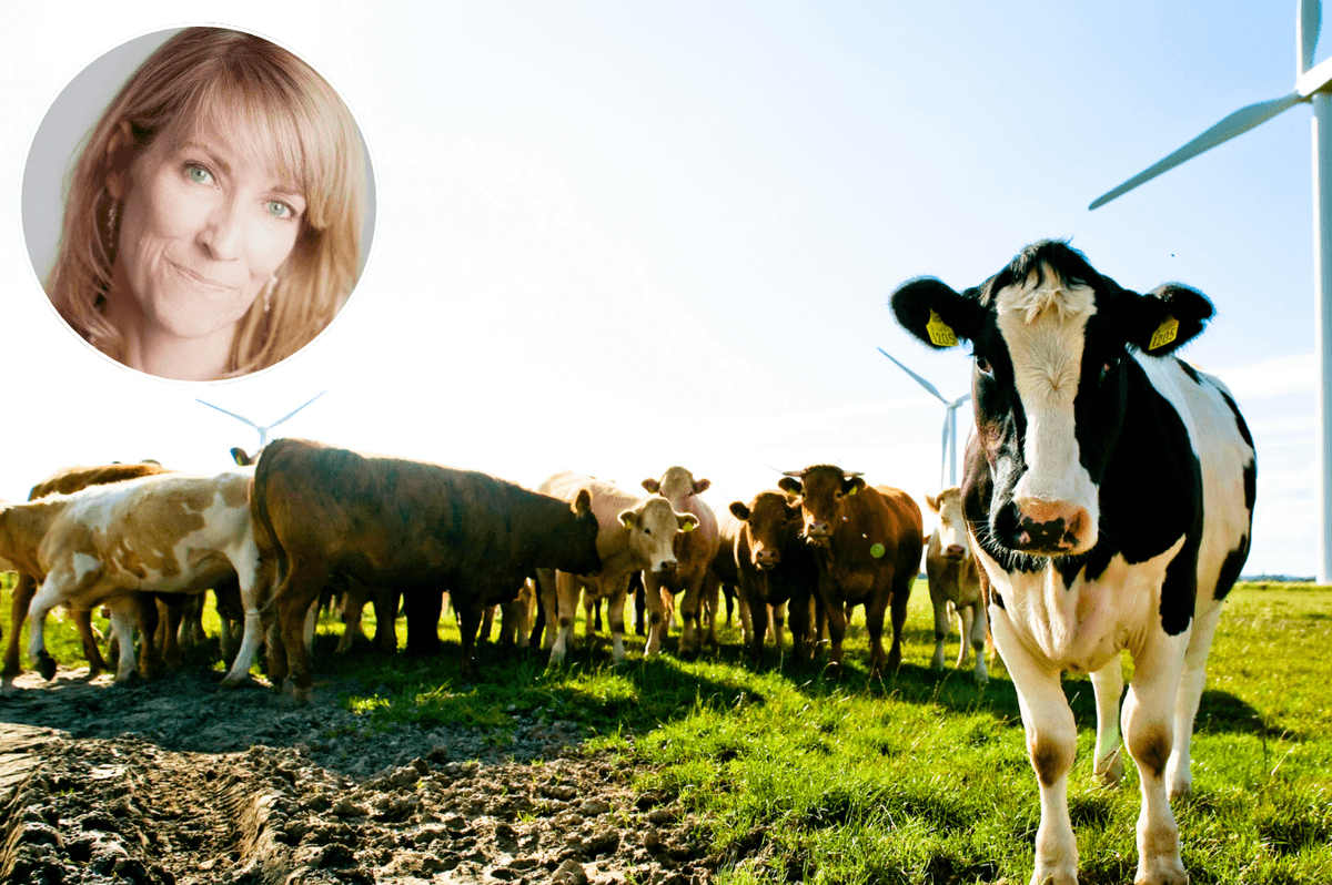 Latest Stories From Renee Hoenderkamp GB News latest-stories-from-renee-hoenderkamp-gb-news