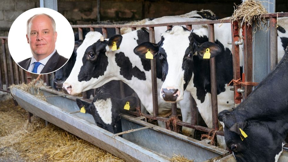 Cows on farm and Andrew RT Davies