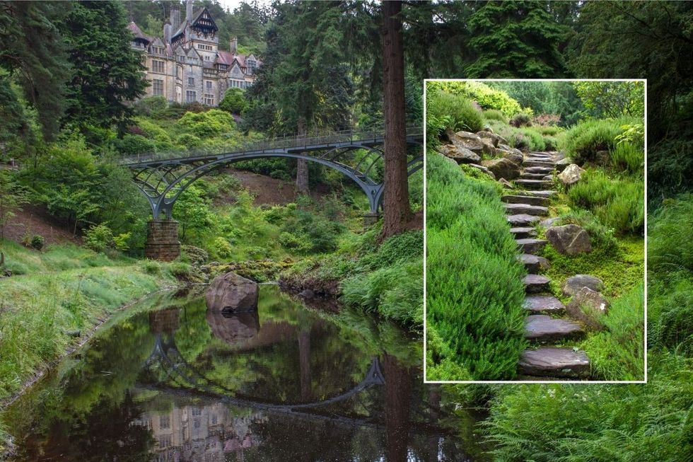 Cragside stock