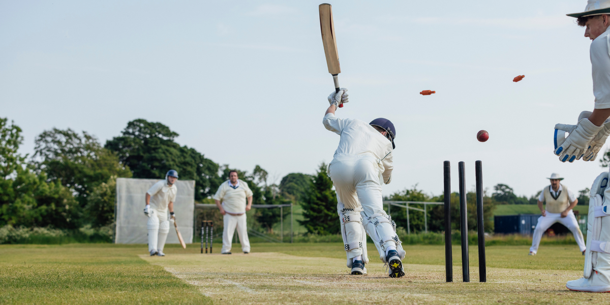 NextImg:Neighbours from hell 'ban' 230-year-old cricket club from hitting sixes after they damaged property