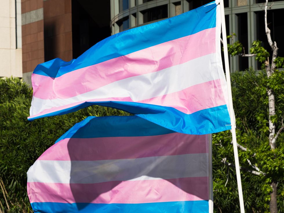 Cricket trans flag