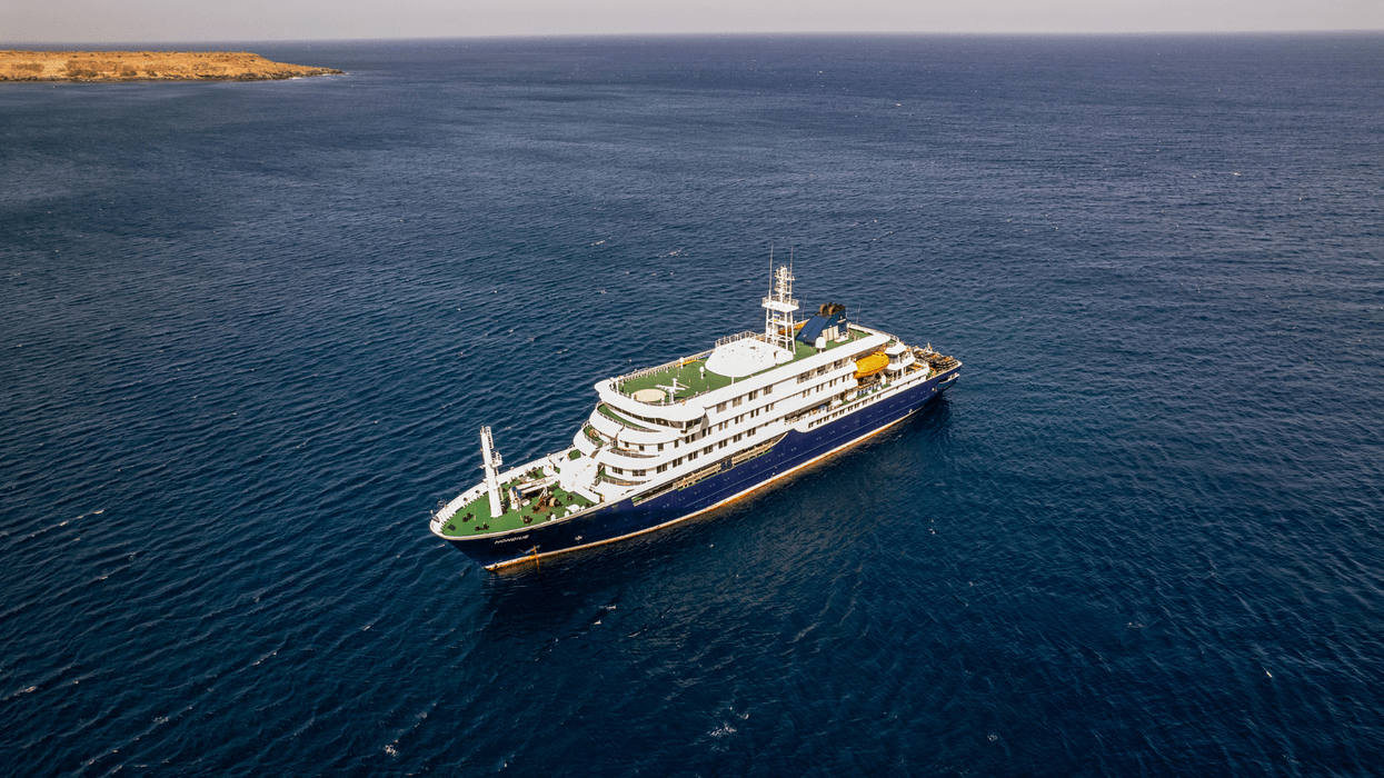 Cruise ship MV Hondius