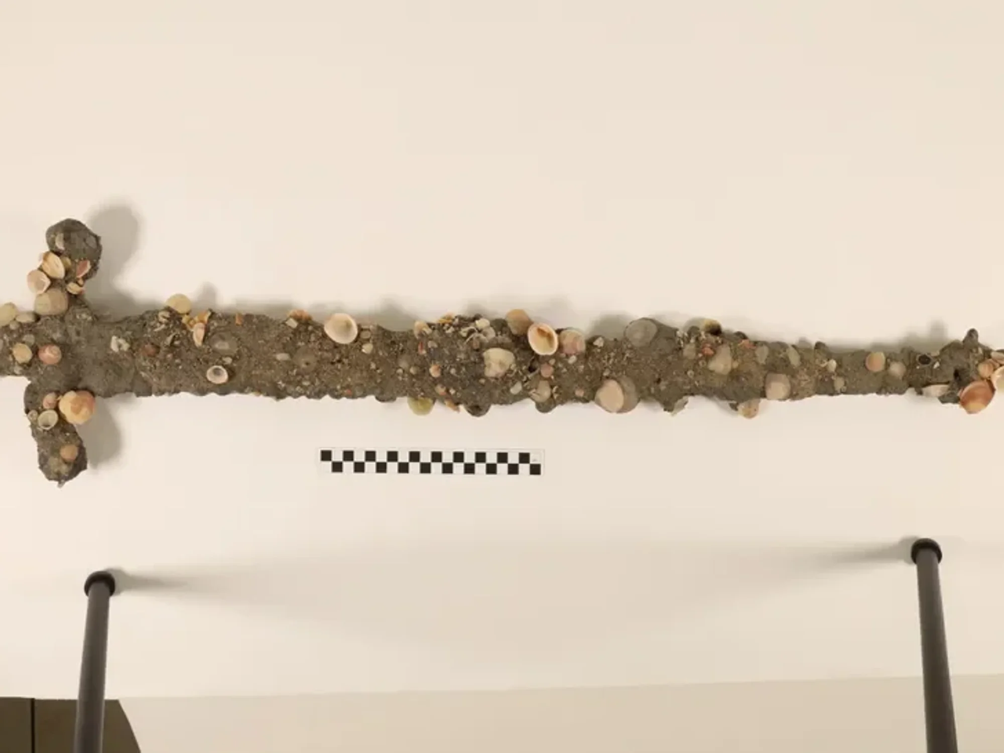 Crusader sword found in Israel seabed