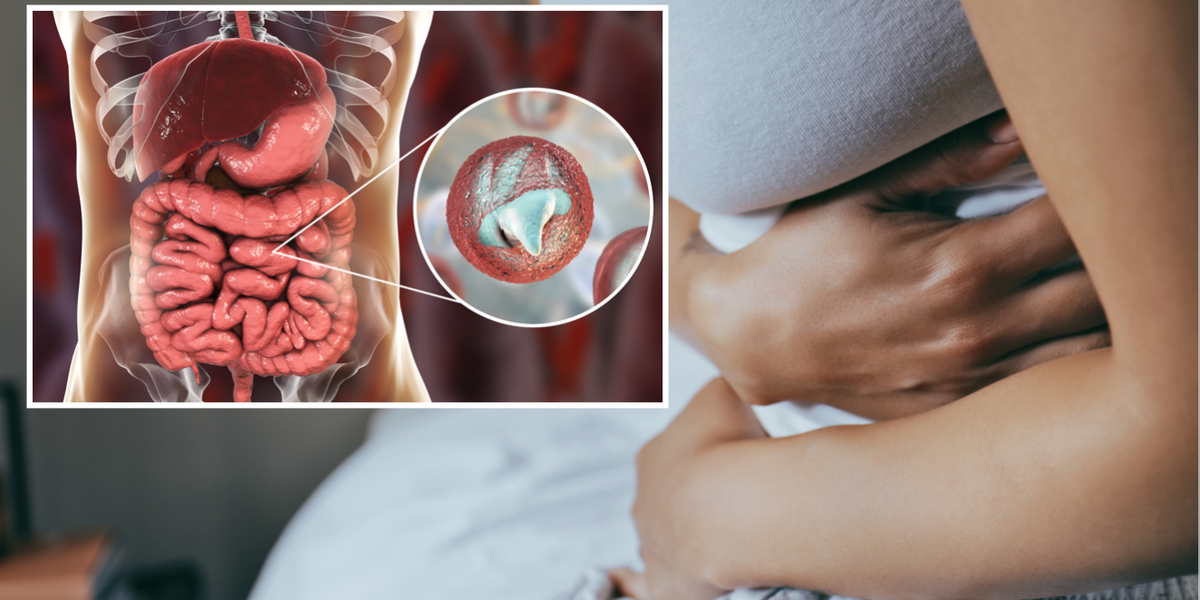 NextImg:Cryptosporidium outbreak: Symptoms to spot as parasitic disease shuts down school and leaves town bedbound