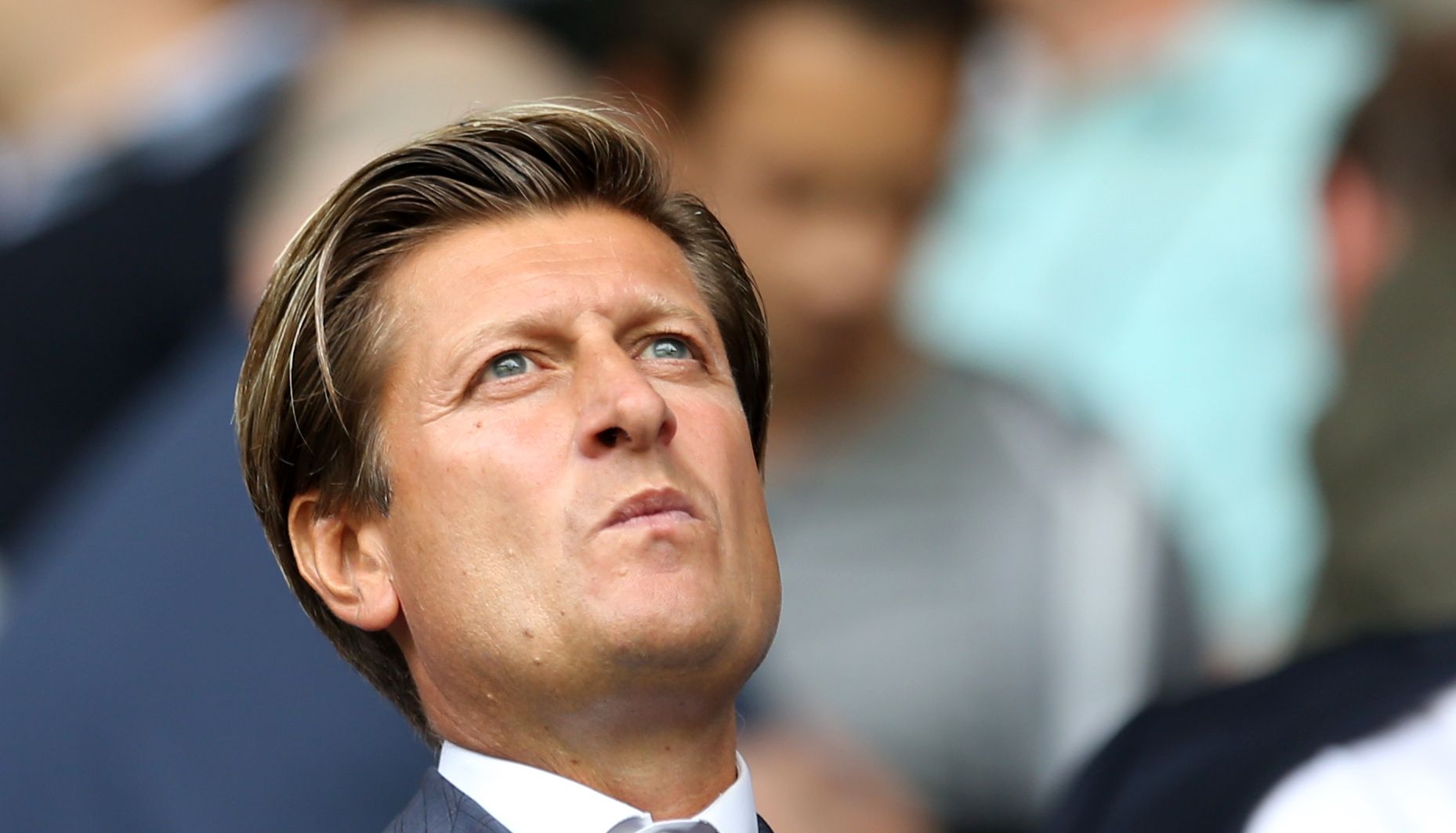 Crystal Palace chairman Steve Parish during a Premier League match at White Hart Lane, London.