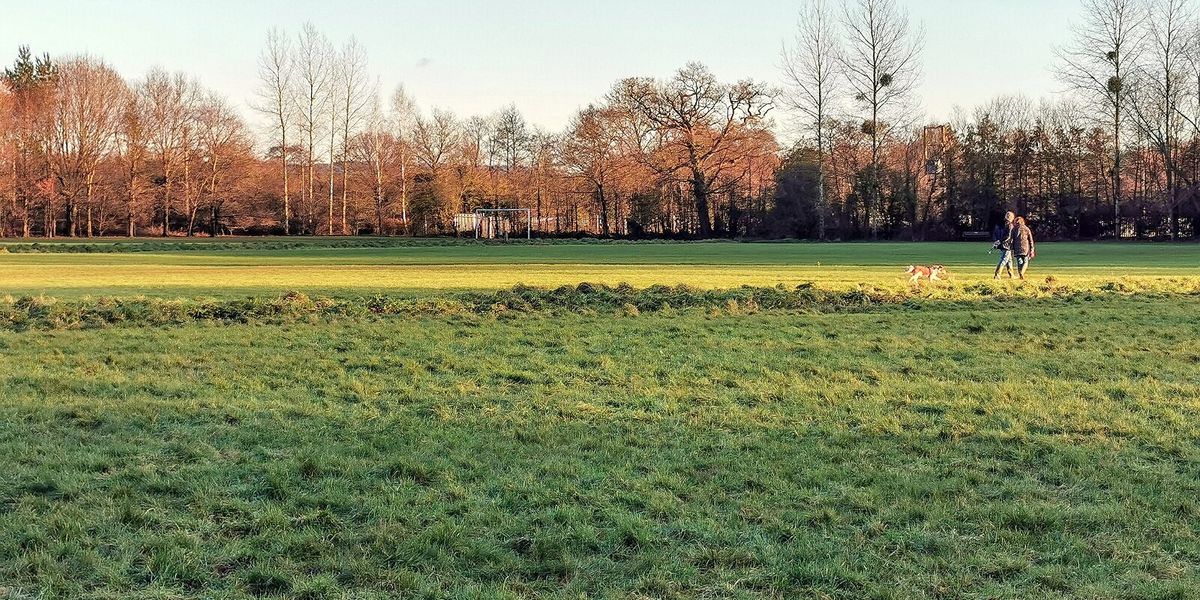NextImg:Travellers in stand off as police block caravans from descending on popular dog walking spot