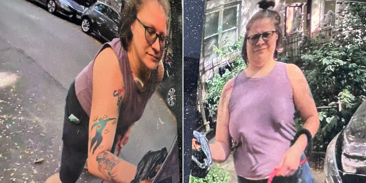NextImg:Woman caught 'smearing dog poop' on Donald Trump-themed