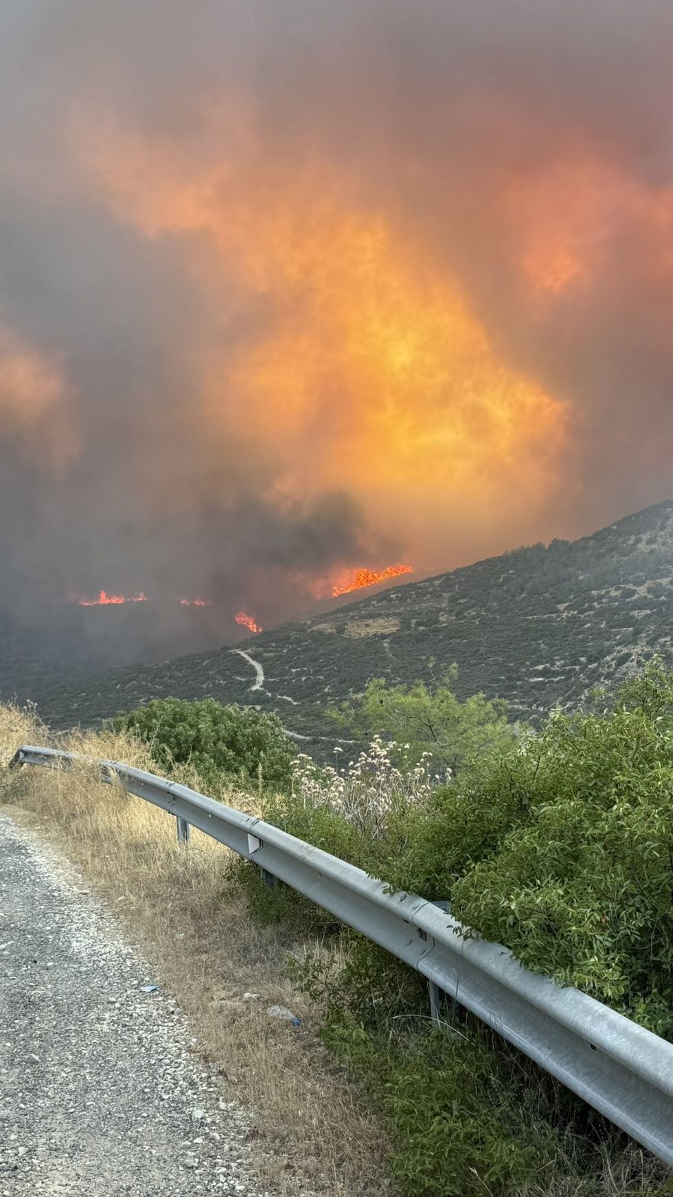 Cyprus wildfires