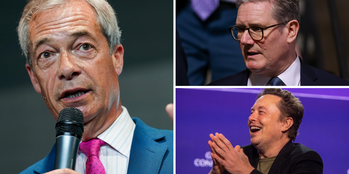 NextImg:REVEALED: How Reform can WIN the General Election without changing the voting system as Elon Musk backs party