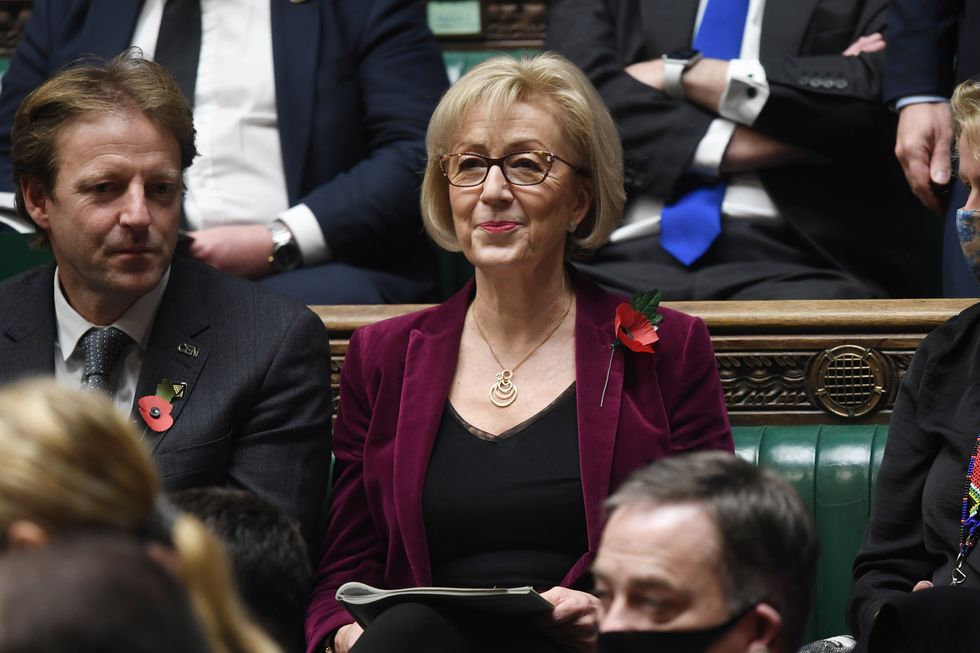 Dame Andrea Leadsom has called for the Prime Minister to resign.