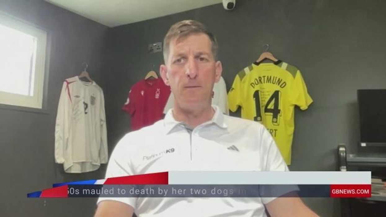 'Very cold-hearted!' Dog trainer says some XL Bullies are just 'sweet little lambs'