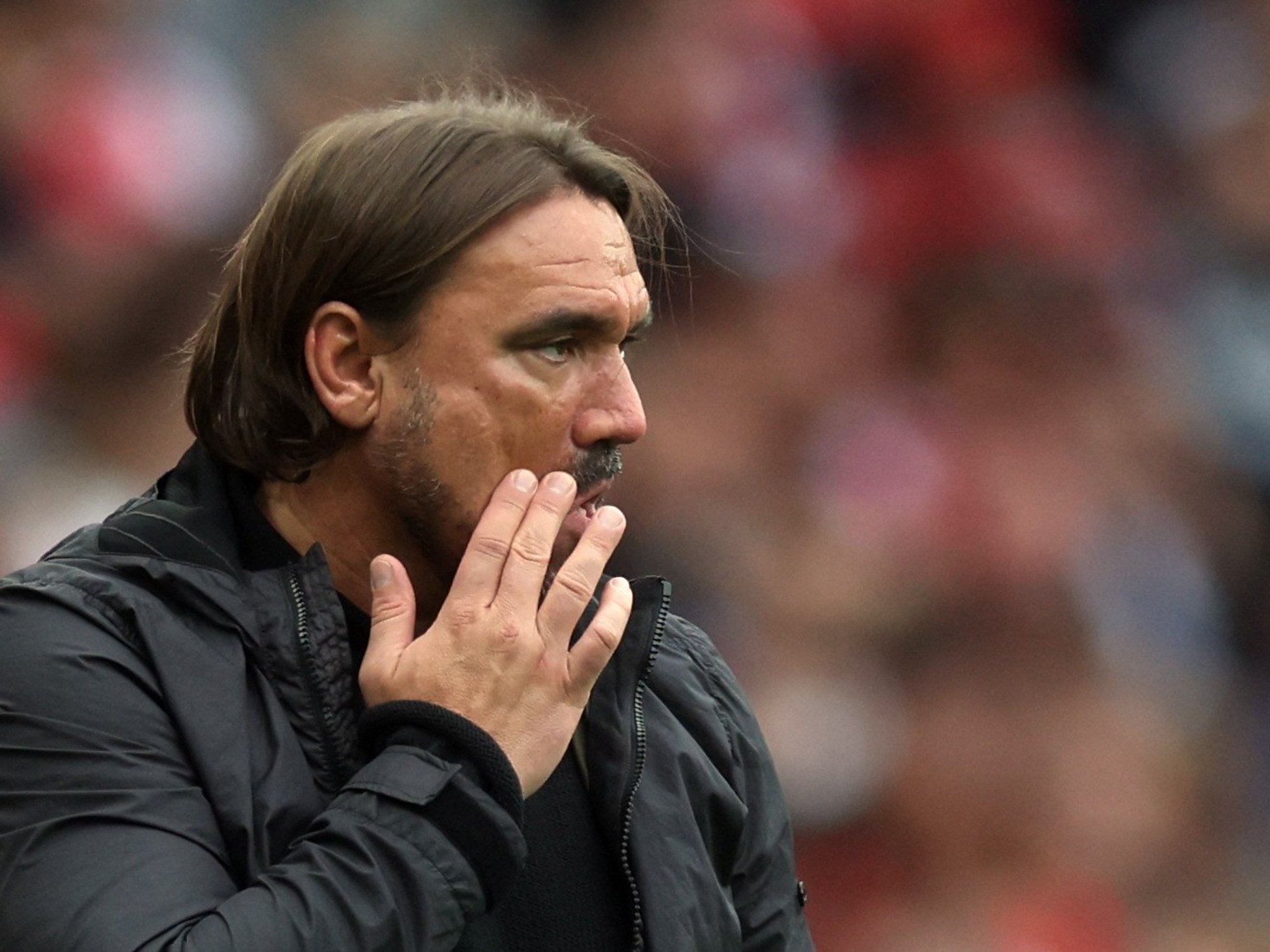 Daniel Farke
