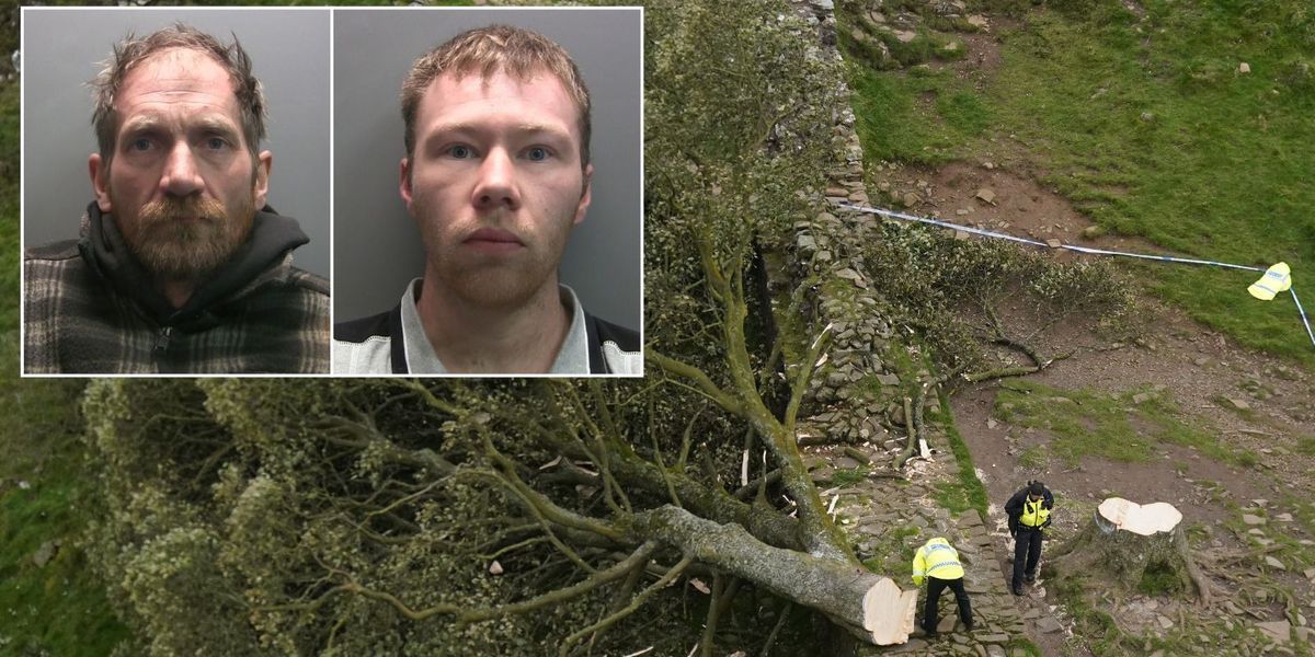 NextImg:Two former friends found guilty of felling Sycamore Gap tree in 'deliberate and mindless criminal damage'