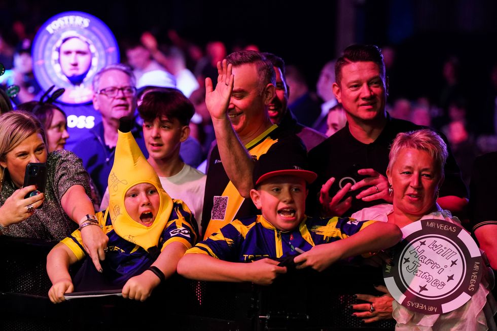 Darts fan