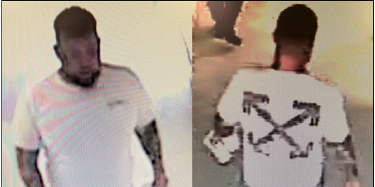 NextImg:Urgent manhunt to trace escaped offender with a history of sexual offences against children