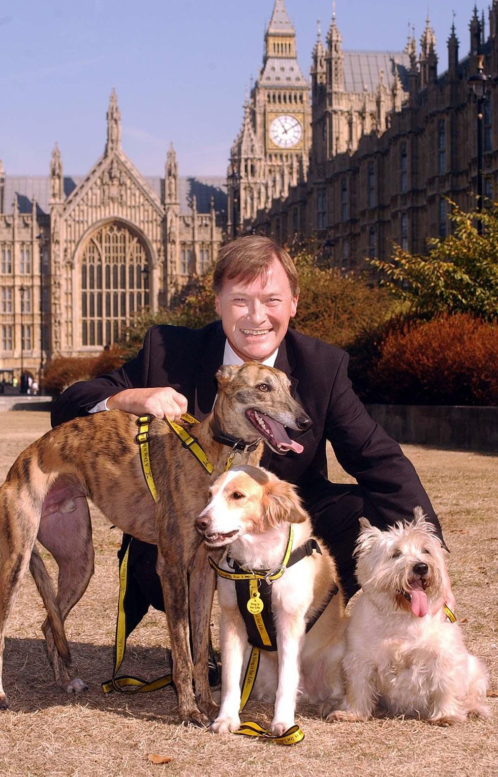 David Amess, MP for Southend West in Essex, outside the Houses of Parliament in Westminster in 2003.