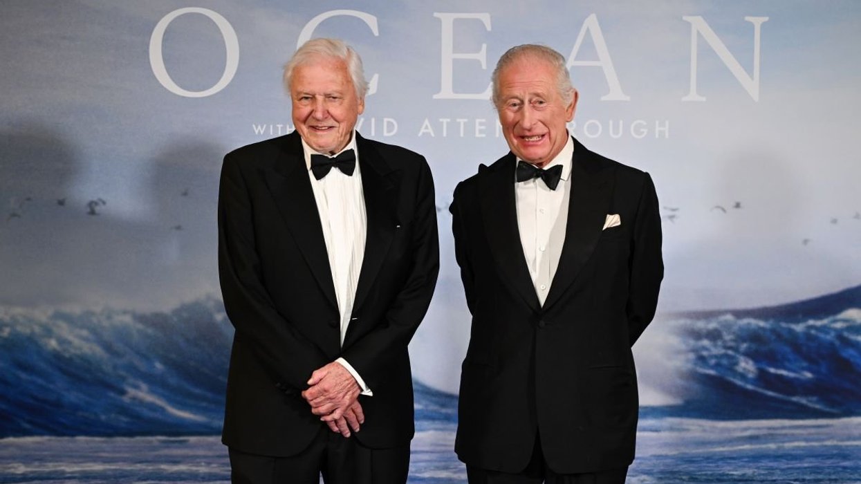 David Attenborough and King Charles