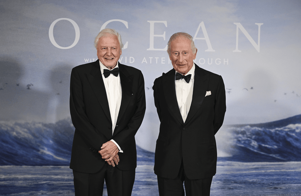 David Attenborough e o rei Carlos