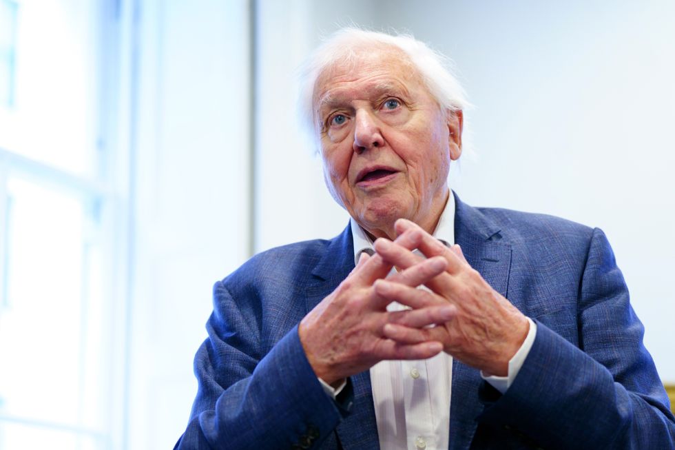 David Attenborough