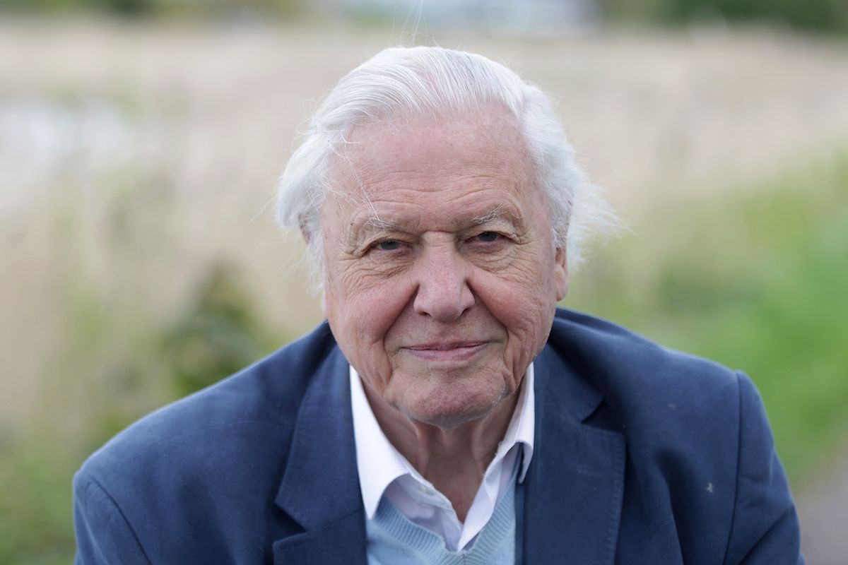 David Attenborough