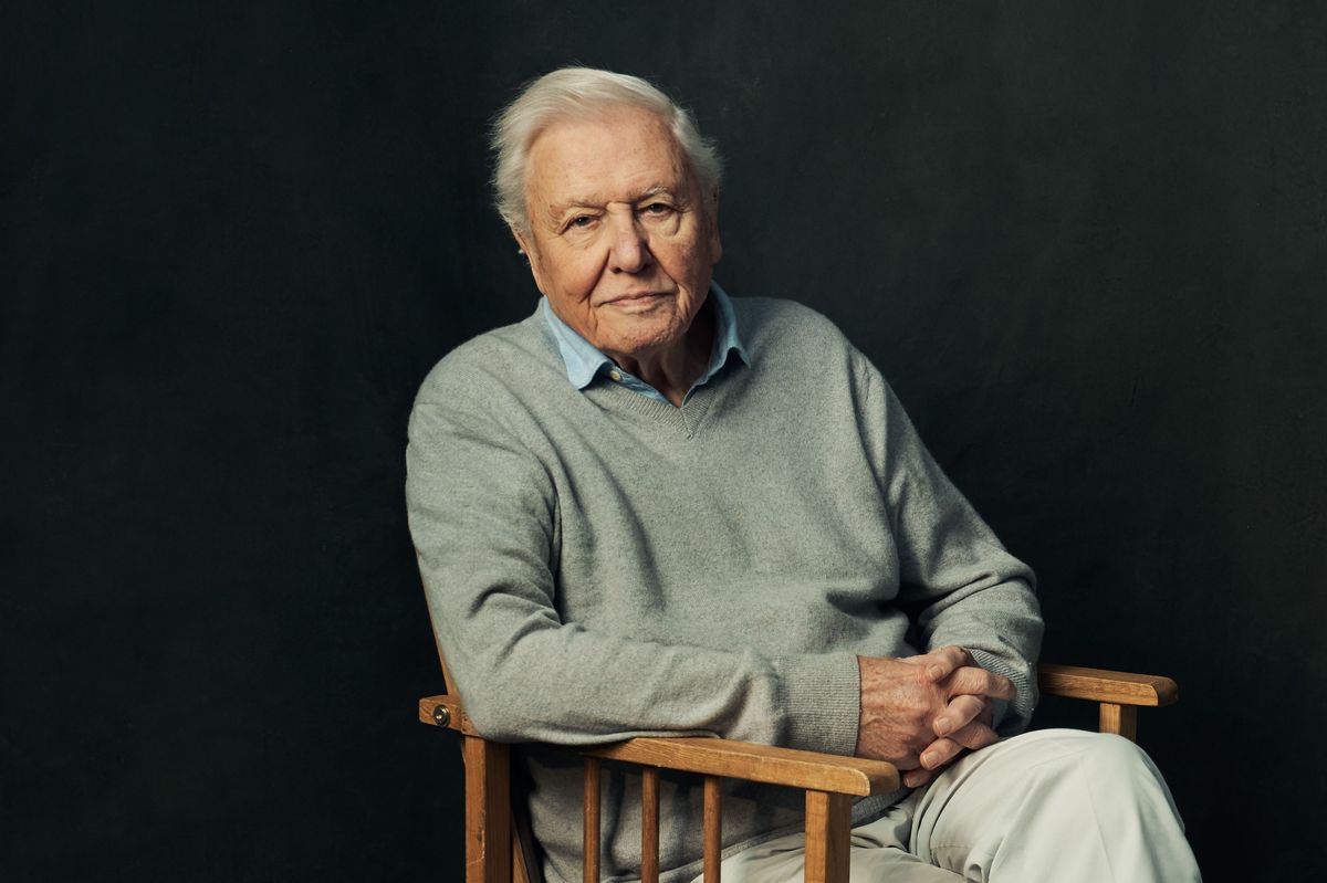 David Attenborough