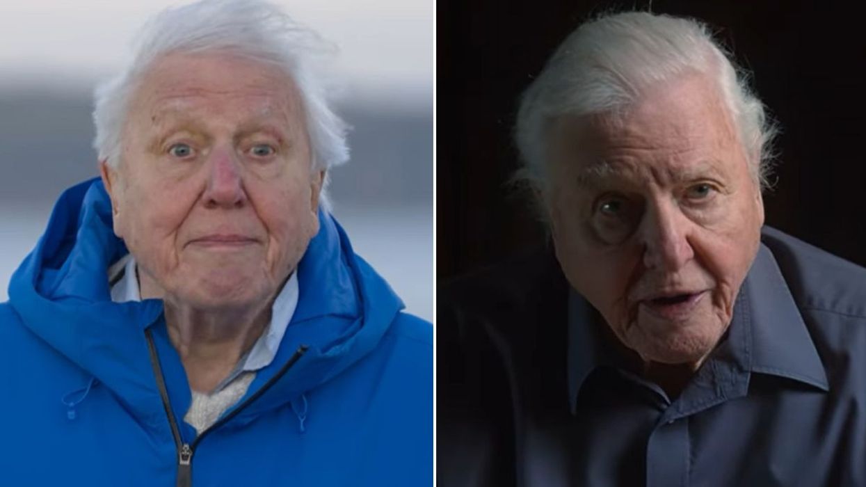 David Attenborough