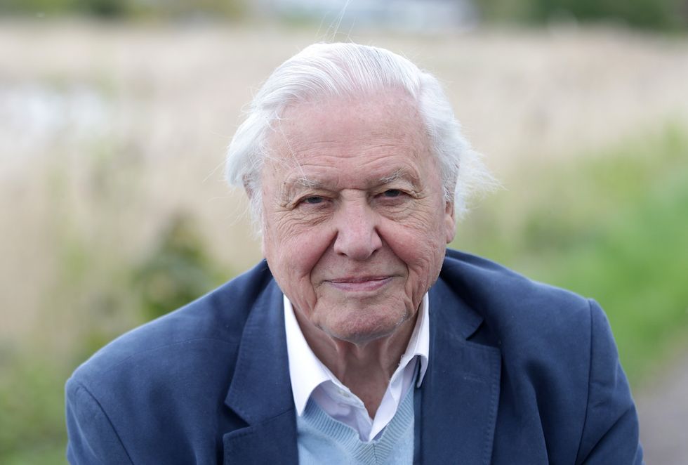 David Attenborough
