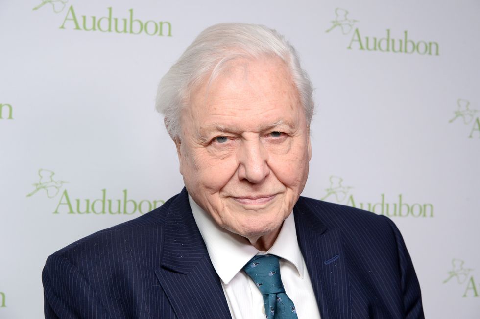 David Attenborough