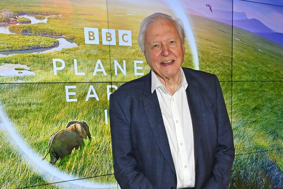 David Attenborough