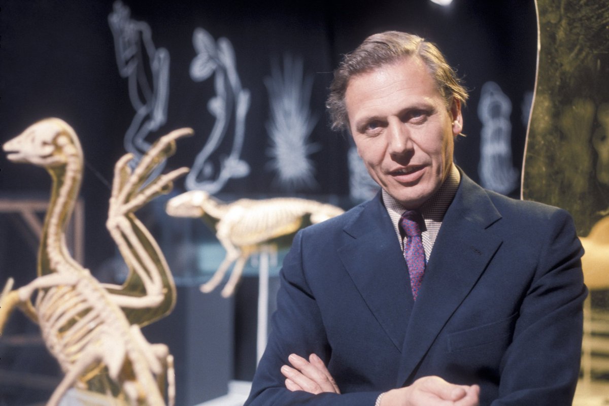 David Attenborough