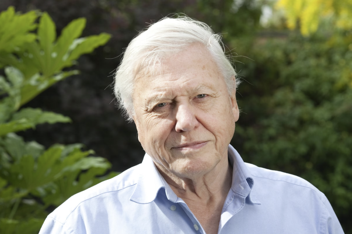 David Attenborough