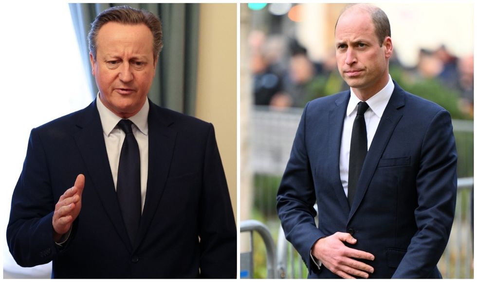 David Cameron and Prince William